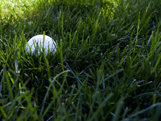 golf ball in deep green grass